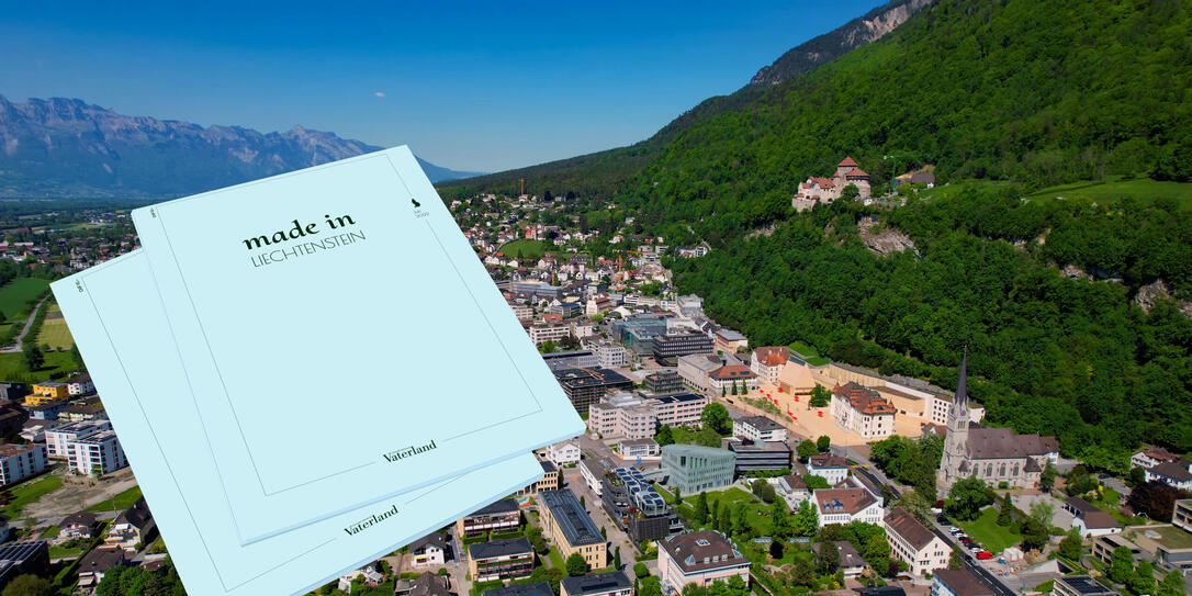 Aerial view around the old town of the city Vaduz, in Liechtenstein