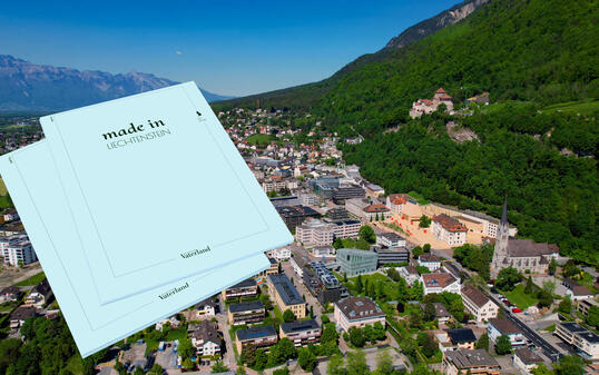 Aerial view around the old town of the city Vaduz, in Liechtenstein