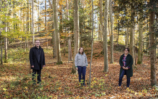 Waldkindergarten, Eschen