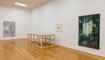 Vernissage Evi Kliemand Kunstmuseum Vaduz (03.09.2026)