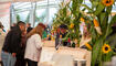 Winzerfest Vaduz