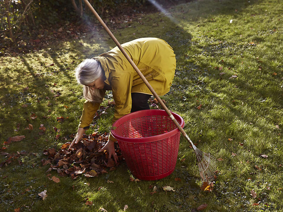 Gartenbesitzer Durfen Holz Verbrennen Vaterland Online