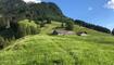 #näherdran-Fotowettbewerb Planken