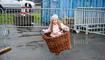 Herbstmarkt Sevelen (10.10.2026)