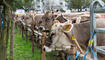 Prämienmarkt Vaduz