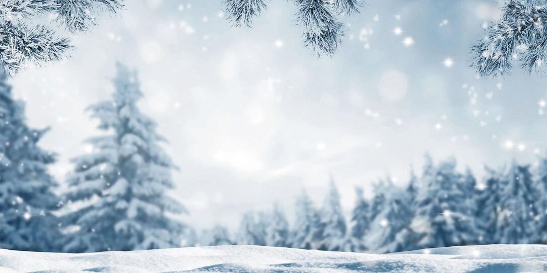 snowy idyllic winter landscape panorama
