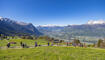 11. Sagenfestin Triesenberg (01.05.2026)