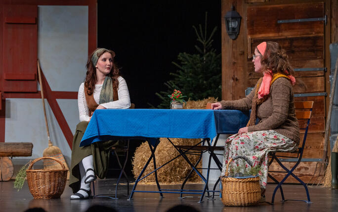 Dreik&ouml;nigsunterhaltung der Feuerwehr Vaduz (05.01.2026)