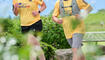 Wings for Life World Run (10.05.2026)