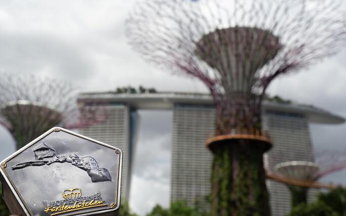 Singapur Gardens by the Bay