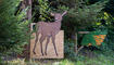 Waldtage in Schaan (20.09.2023)