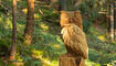 Neue Figuren - Walser Sagenweg