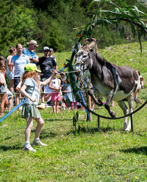 Eselfest, in Malbun (09.08.2025)