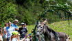 Eselfest, in Malbun (09.08.2025)