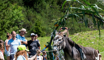 Eselfest, in Malbun (09.08.2025)