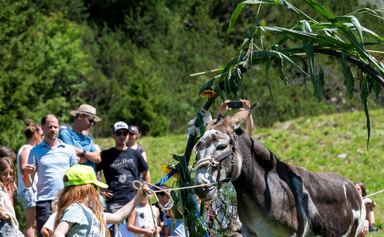 Eselfest, in Malbun (09.08.2025)