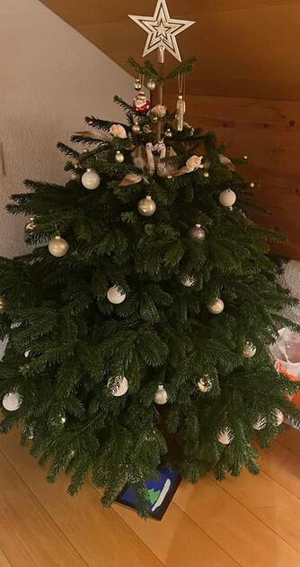 Fotowettbewerb: Zeig uns Deinen Christbaum 2022