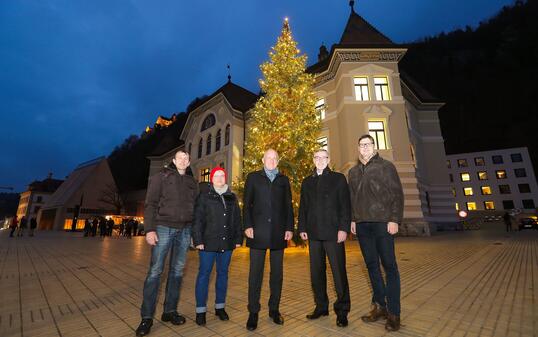 Vaduz Regierungsgebaeude Christbaum Balzers Hansjoerg Buechel Adrian Hasler