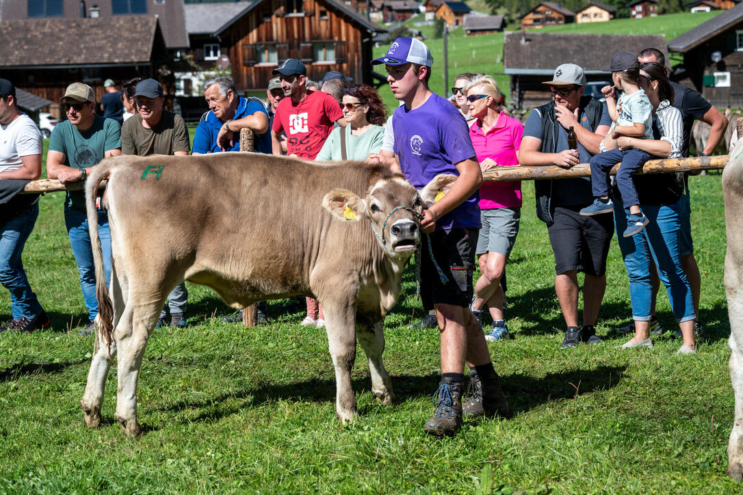 Stäger Breemimarcht, im Steg (20.09.2025)