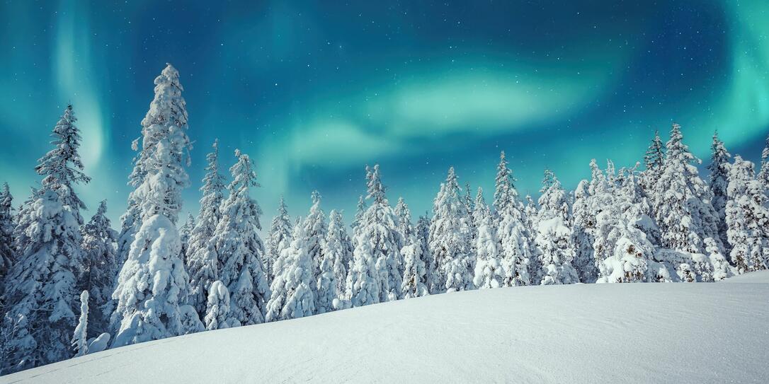 Aurora,Borealis,Over,The,Frosty,Forest.,Green,Northern,Lights,Above