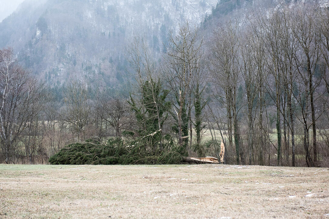 Sturm fegt über Liechtenstein