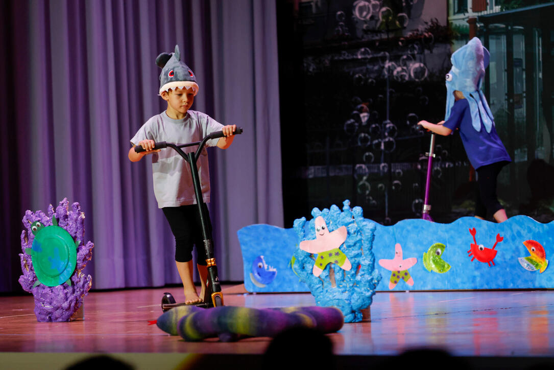 Turnunterhaltung STV Oberriet-Eichenwies, St. Gallen, Schweiz