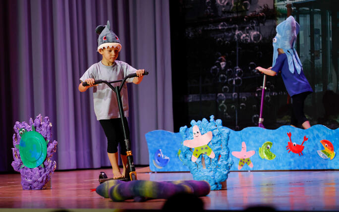 Turnunterhaltung STV Oberriet-Eichenwies, St. Gallen, Schweiz