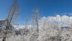 Schnee im Frühling