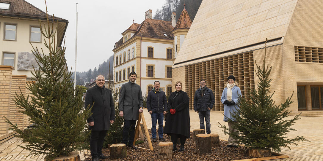 Vaduzer Weihnachts-Städtle Vaduzer Weihnachts-Städtle