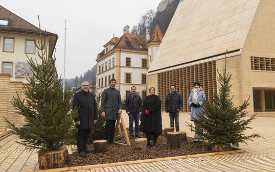 Vaduzer Weihnachts-Städtle