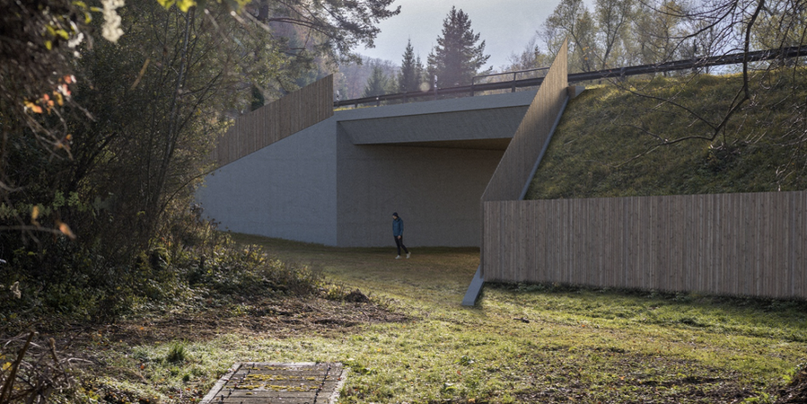 20 Meter breit, 5 Meter hoch: So soll die Unterführung der Feldkircherstrasse bei Nendeln auch auf