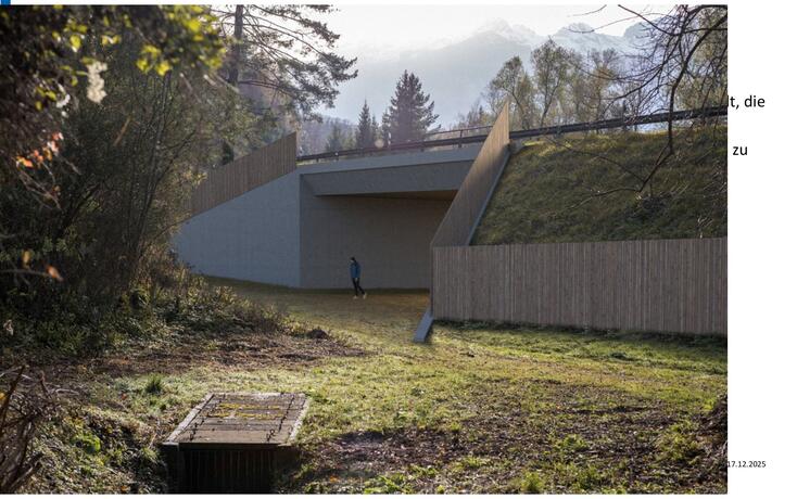 20 Meter breit, 5 Meter hoch: So soll die Unterf&uuml;hrung der Feldkircherstrasse bei Nendeln auch auf