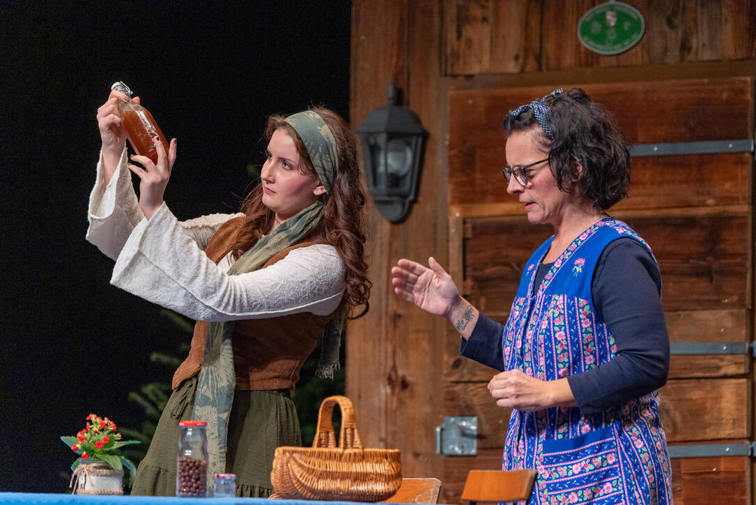 Dreik&ouml;nigsunterhaltung der Feuerwehr Vaduz (05.01.2026)