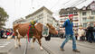 OLMA Festumzug durch die Stadt St. Gallen