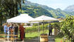 Weinfest Heiligkreuz
