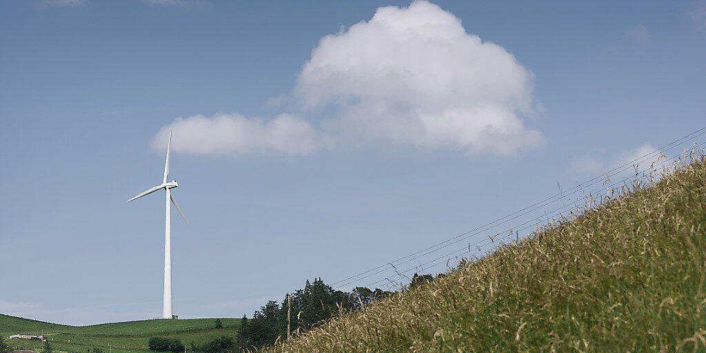 Bis zu 180 Meter hoch hätten die Windturbinen bei Court in den Himmel geragt. (Archivbild)