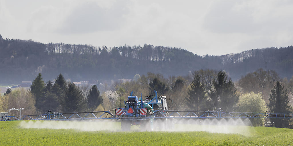 Ein Landwirt besprüht in Payerne VD sein Feld: Der Bundesrat will Alternativen zum chemischen Pflanzenschutz fördern. (Archivbild)