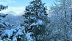 Winterwunderland Liechtenstein (03.12.23)
