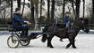 Gespann-Fahren mit Werner Mayer