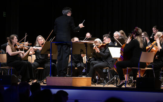 Herbstkonzert Orchester Liechtenstein Werdenberg