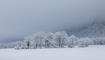 Liechtenstein im Winterkleid