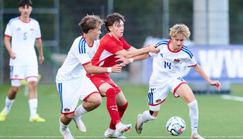 SCHWEIZ - LIECHTENSTEIN (15.10.2026)
