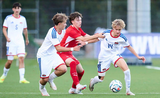 SCHWEIZ - LIECHTENSTEIN (15.10.2026)