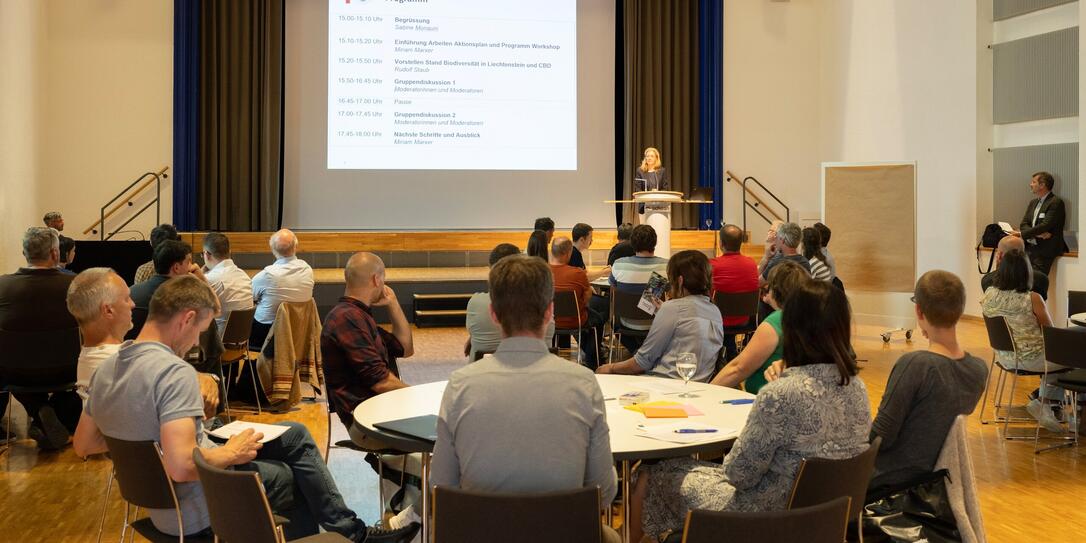 Workshop Aktionsplan Biodiversität