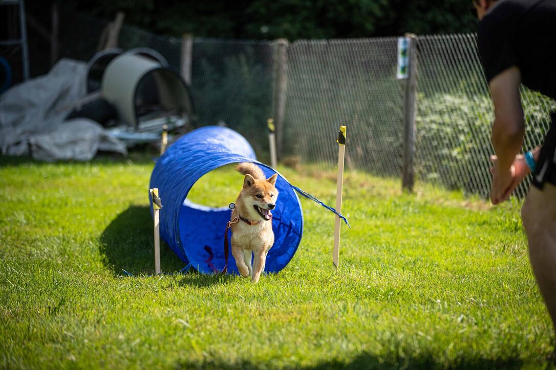 Hundeplausch Balzers (20.06.2026)