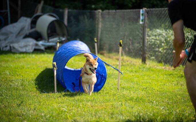 Hundeplausch Balzers (20.06.2026)