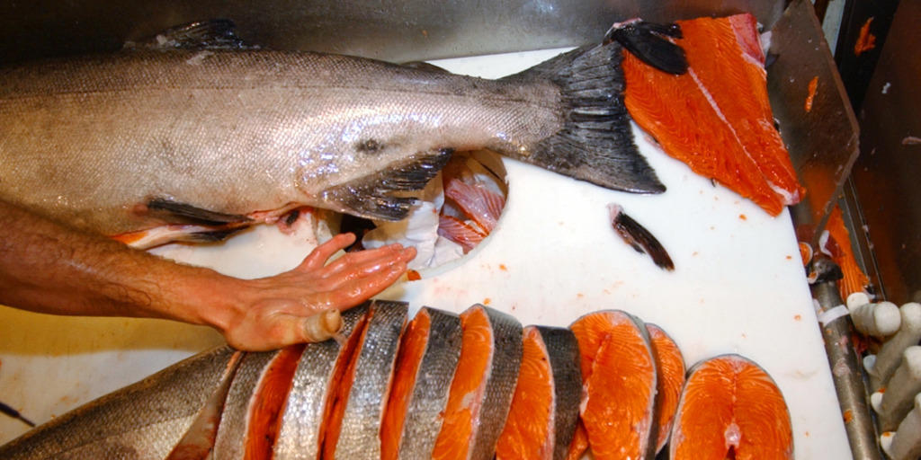 Lachs ist in der Schweiz der mit Abstand beliebteste Speisefisch. Insgesamt betrug die Verkaufsmenge im letzten Jahr 3333 Tonnen. (Archivbild)