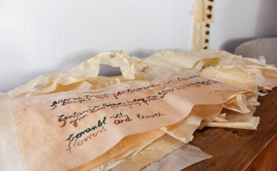 &laquo;Balzers Diary&raquo; von Hanga S&eacute;ra