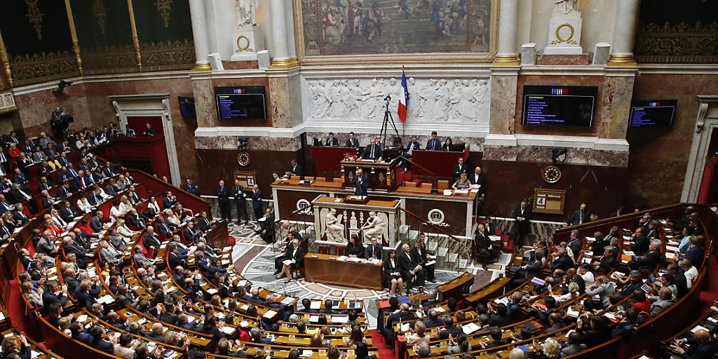 Die französische Nationalversammlung hat grünes Licht für Präsident Marcrons Arbeitsmarktreform über Verordnungen gegeben. (Archivbild) Die französische Nationalversammlung hat grünes Licht für Präsident Marcrons Arbeitsmarktreform über Verordnungen gegeben. (Archivbild)