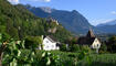 Traubenschau 2026 der Winzergenossenschaft Vaduz